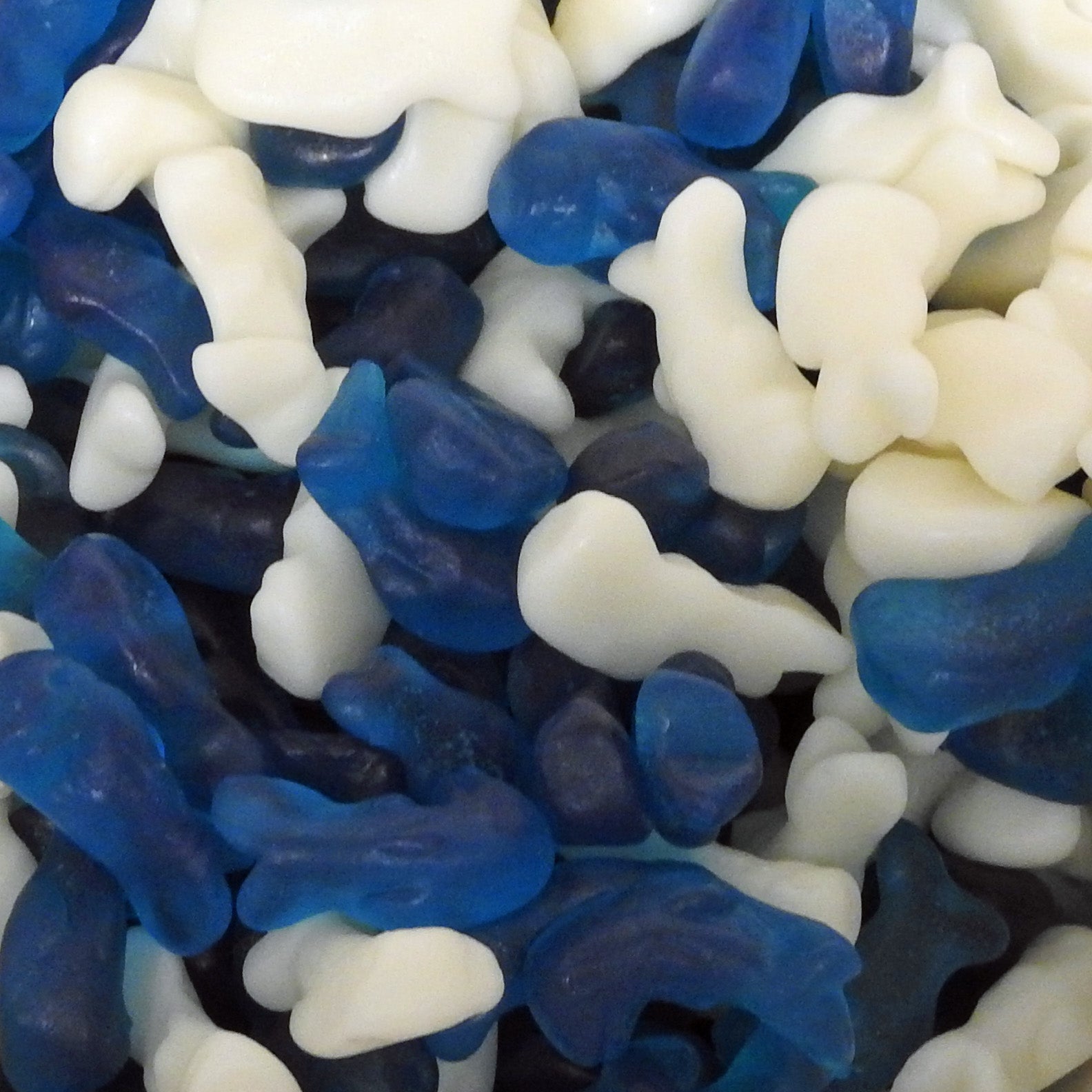 Baby dolphin best sale sweets