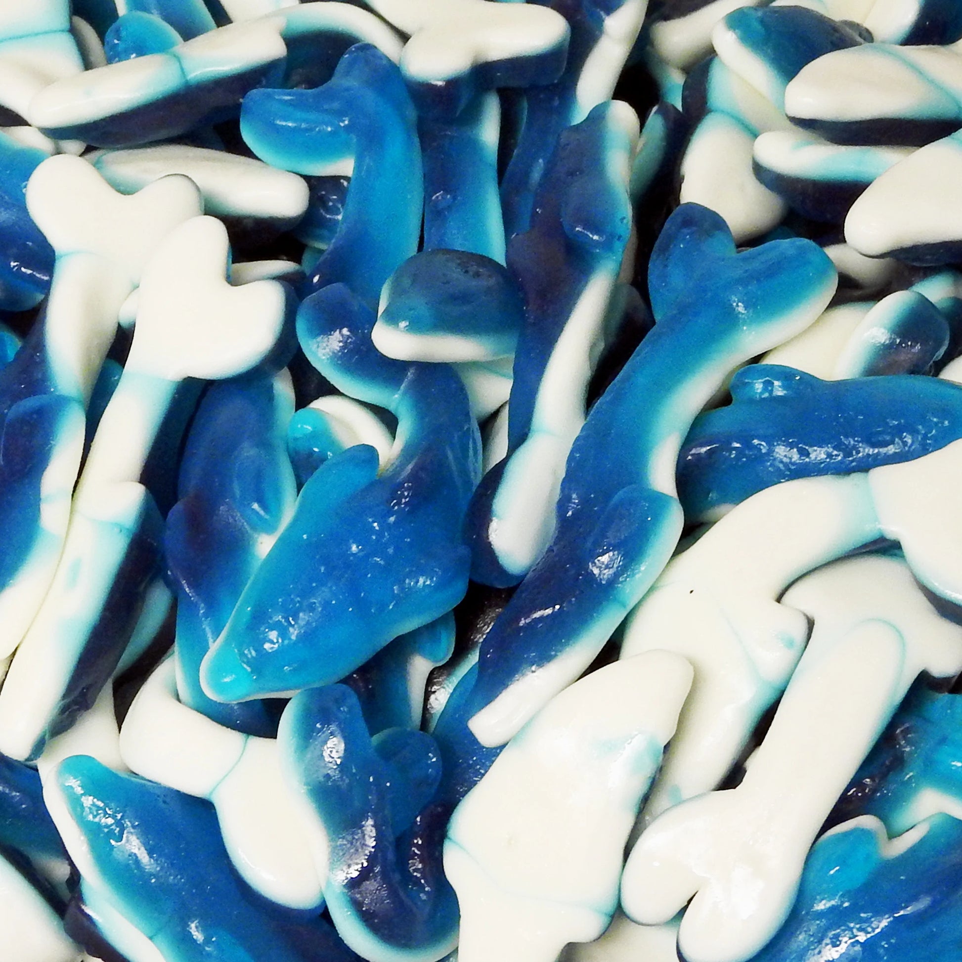 Giant Jelly Dolphins - Retro Sweets at The Sweetie Jar